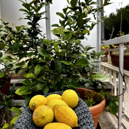 Casa Giulia Appartement *